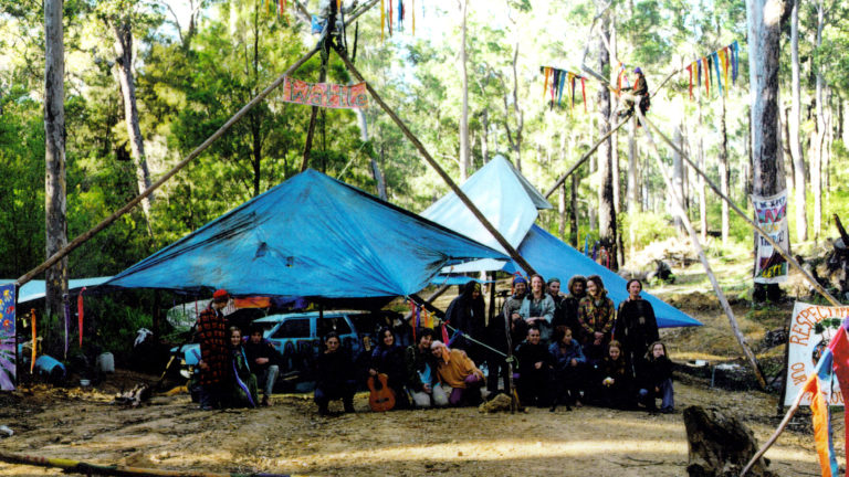 bullant camp, wattle forest 1998